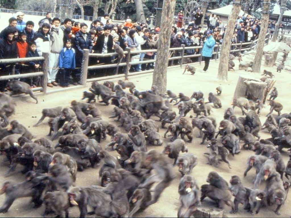 Kannawaso Beppu Exterior foto